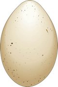 gooseegg