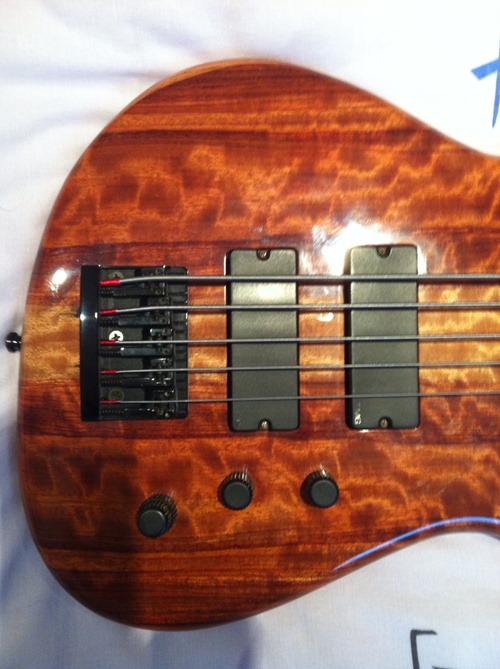bass16 bass16