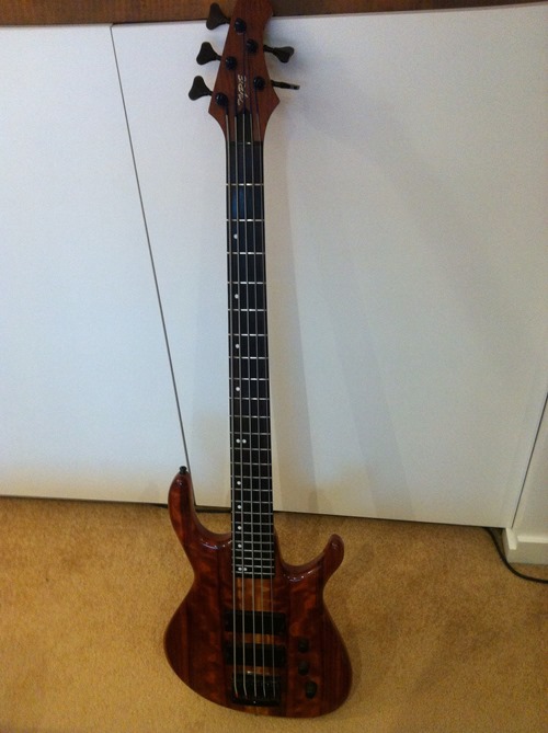 bass24 bass24