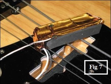 fig7 fig7